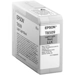 Epson T850900 Light Black for SC-P800