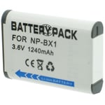Otech Batterie Compatible avec Sony HDR-PJ410