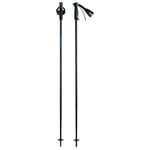 HEAD Unisex Adult Frontside Black Blue Ski Poles, Black/Blue, 110 cm