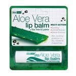 Aloe Dent Aloe Vera Lip Balm-12 Pack