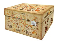 Dutch Design Brand Boîtes de rangement décoratives avec couvercle – Dimensions : 38,9 x 31,8 x 21,1 cm – Carton recyclé certifié FSC (imprimé carte du monde antique)