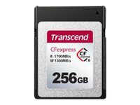 Transcend CFexpress 820 - Flash-minneskort - 256 GB - CFexpress, typ B