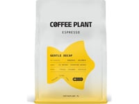 Coffee Plant Bean Coffee Coffee Plant - Gentle Decaf - Koffeinfri Espresso 250G