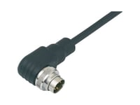 Pärm 79 6271 200 08-20 Cirkelledare Konfektionerad Stickpropp, Vinklad Totalt Antal Poler: 8 Serie (Cirkulär Kontakt): 425 1 St