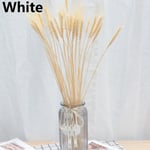 25pcs Wheat Ear Grass Dried Flowers Bouquets Real Flower White