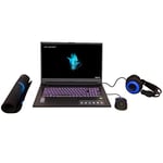 Medion ERAZER Defender P15 Ryzen7-5800H 16 GB 512 17.6" FHD 144Hz NVIDIA GeForce RTX 3060 Gaming Laptop Bundle - Laptop, Mouse, Mousepad And Headset, Black (30035123)