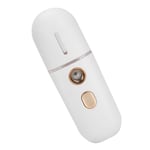 USB Charging Face Mist Sprayer Moisturizing Portable Face Humidifier Nano UK MPF