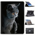 Fancy A Snuggle Elegant Cat Standing Watching Faux Leather Case Cover/Folio for the New Apple iPad 9.7" (2018 Version)