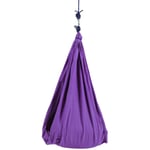 Dcolor Sensory Swing Therapy Swing for Kids Hanging Hammock Indoor Hammock for Children Sensory Integration Purple