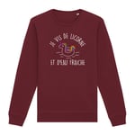 Pull Licorne "Je Vis De Licorne Et D'eau Fraiche" - Pour Femme - Confectionné En France - Coton 100% Bio - Cadeau Licorne Original Rigolo