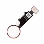 NEW iPhone 8/8 Plus/SE 2020 Home Button Cable Replacement - ROSE GOLD