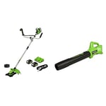 Greenworks 2 X 24V Cordless brushless Bike Handle Trimmer,Brush Cutter 2 in 1 Include 2 x 4Ah Battery and Dual Slot Charger & 24V Axial Leaf Blower G24AB Tool Only