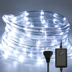 VINGO 20M Tube Lumineux Extérieur LED Guirlande Lumineuse Décoration,Blanc froid,avec Adapteur d’alimentation