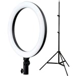 Godox LR120 LED Ring Light + 302 Light Stand