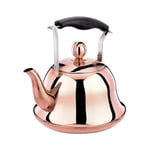 Polished Mirror-Finish Stainless Steel Whistling Tea Kettle, Tea for Fast Boiling with Insulated Plastic Ergonomic Handle, Stove Gas Electric Induction Compatible