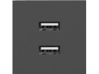 NOEN USB x 2, modulär dubbelport 45x45mm med USB-laddare, 2,1A 5V DC, svart,OR-GM-9010/B/USBX2
