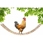 Linghhang - Poulailler en bois Poulailler en bois naturel Echelle Balançoire à poules Porte-oiseaux Volaille Coqs Poulets - grande taille