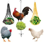Set of 3 Stainless Steel Fruit and Vegetable Holder Chicken Treat Feeding Tool String Bag for Hens Ducks Geese Birds Feeding