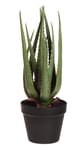Konstgjord växt - Aloe Vera 45 cm