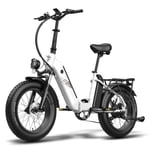 Elcykel 20'' FAFREES FF20 Polar 500W Fällcykel Stora däck 25 km/h 48V 20,8Ah 7 Växlar Vit med Gåva Pumpar