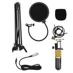 Professional Laptop Microphone Kit, USB Small Sound Card Mic, Distinctive Fashionable Appearance Mic, Individual Recording Mic for Computer Karaoke(Flat gold black)
