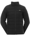 Lacoste Mens Embroidered Padded Jacket - Black, Size: Medium - Size Medium