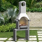 Vidaxl - Support de barbecue au charbon de bois Béton avec cheminée