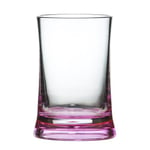 Premier Housewares 1601355 Acrylic Tumbler - Hot Pink/Clear 11 x 8 x 8 cm