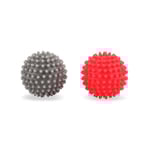 Torkbollar 2-pack