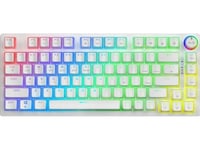 Klawiatura Savio Phenix Pudding Gateron Red Pro (Phenix White Gat Red Pud)