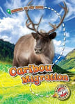 - Caribou Migration Bok