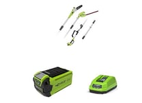 Greenworks Cordless Pruner and Telescopic Hedge Trimmer 2in1 G40PSH (Li-Ion 40V 51cm/20cm cutting length 18mm cutting thickness 240cm telescopic pole with 2Ah battery & charger)