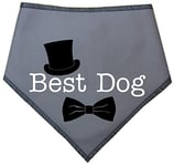 Spoilt Rotten Pets (S4) Best Dog Grey Dog Bandana - Wedding Groom & Best Man Suit For Dogs (Ex-Large Dogs Husky & Newfoundland)