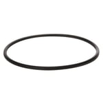 O-ring, Björnfilter
