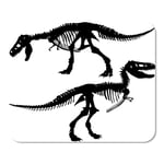 Mousepad Computer Notepad Office Fossil Silhouettes of The Skeleton Tyrannosaurus Rex Dinosaur Trex Home School Game Player Computer Worker Inch