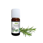 Rosemary Verbenone Organic Essential Oil, 10 ml
