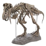 Tyrannosaurus Rex Skelett Dinosaurie Djur Samlare Dekor Modell Leksak