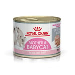 RC Mother & Babycat Mousse 12 x 195g