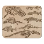 Mousepad Computer Notepad Office Bones Skeletons and Skulls of Some Under Water Animals Collection Freehand Sketching Home School Game Player Computer Worker Inch