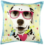 Arthouse Hall of Fame Dog Cushion, Polyester, Multi-Colour, 45 x 45 x 0.02 cm