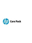 HP E Foundation Care Exchange Service Post Warranty