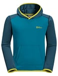 Jack Wolfskin Unisex Active Hoody K Hoodie - Everest Blue, 116, Everest Blue, 116 cm