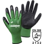 Latex Arbetshandske Storlek (handskar): 8 EN 388, EN