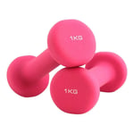 LILIS Weight Bench Adjustable Dumbbells Hex Dumbbells Weight Set of 2, Neoprene Dumbbell Set Coated for Non Slip, for Home and Gym Fitness Exercise (Color : 1KG*2)