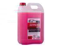 Antifreeze G12 -36C Expert 5L