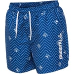 Hummel Chill Board Shorts Navy Peony