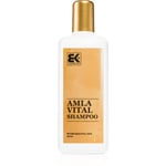 Brazil Keratin Amla Vital Hair Shampoo til tørt og skadet hår Med olie 300 ml