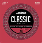 D´addario EJ27N