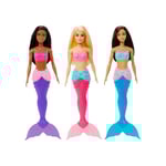 Barbie - Asst Dreamtopia Doll (HGR04)