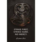 - Cobra Kai (Metal) Plakat